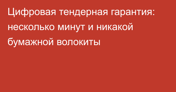 Цифровая тендерная гарантия: несколько минут и никакой бумажной волокиты