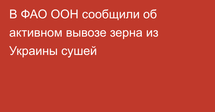 В ФАО ООН сообщили об активном вывозе зерна из Украины сушей 