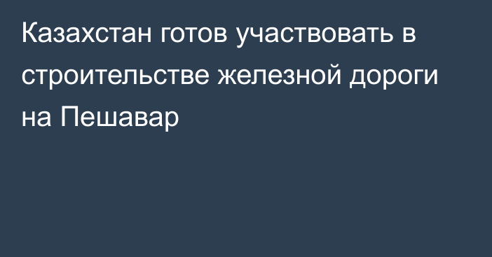 Казахстан готов участвовать в строительстве железной дороги на Пешавар