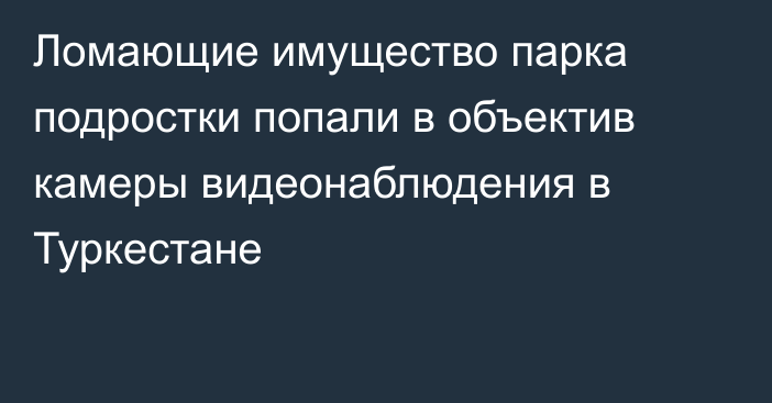 Ломающие имущество парка подростки попали в объектив камеры видеонаблюдения в Туркестане