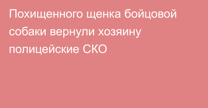 Похищенного щенка бойцовой собаки вернули хозяину полицейские СКО