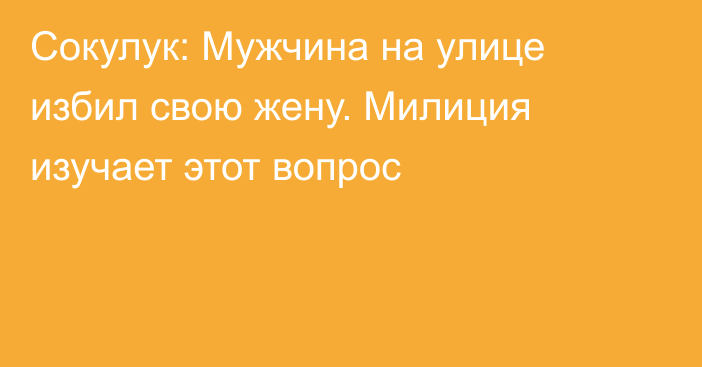 Сокулук: Мужчина на улице избил свою жену. Милиция изучает этот вопрос