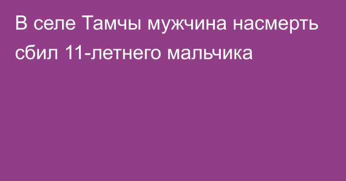 В селе Тамчы мужчина насмерть сбил 11-летнего мальчика