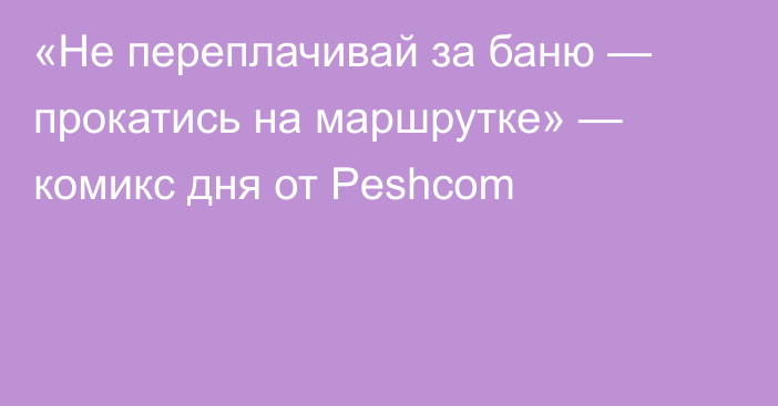 «Не переплачивай за баню — прокатись на маршрутке» — комикс дня от Peshcom