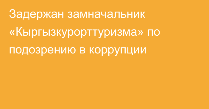 Задержан замначальник «Кыргызкурорттуризма» по подозрению в коррупции