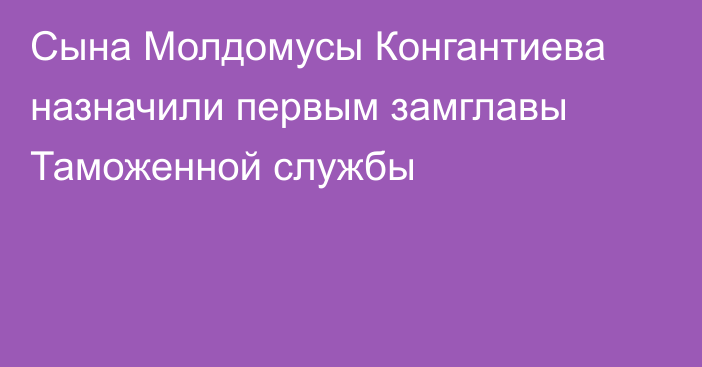 Сына Молдомусы Конгантиева назначили первым замглавы Таможенной службы