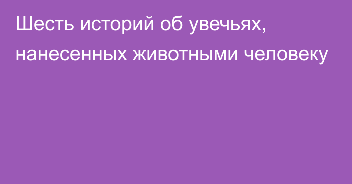 Шесть историй об увечьях, нанесенных животными человеку