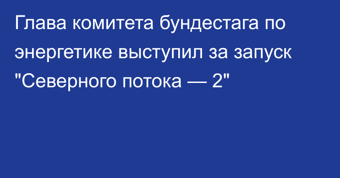 Глава комитета бундестага по энергетике выступил за запуск 