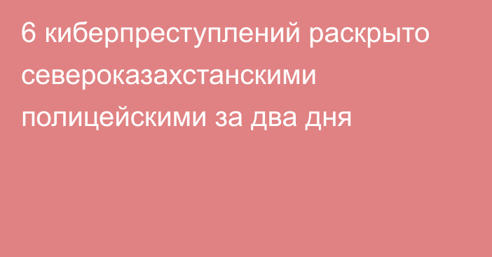 6 киберпреступлений раскрыто североказахстанскими полицейскими за два дня