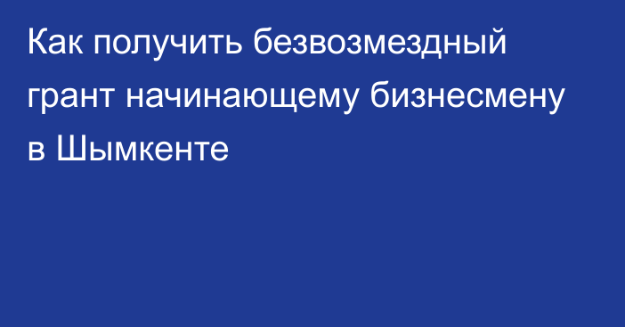 Как получить безвозмездный грант начинающему бизнесмену в Шымкенте