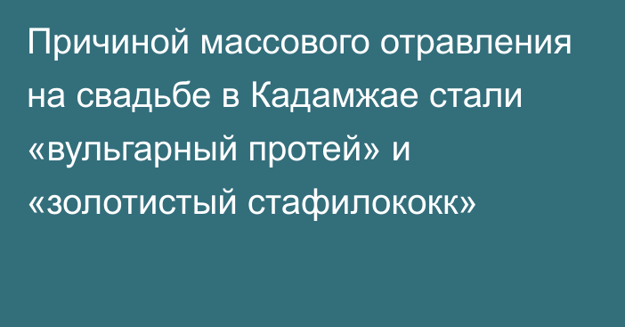 Причиной массового отравления на свадьбе в Кадамжае стали «вульгарный протей» и «золотистый стафилококк»