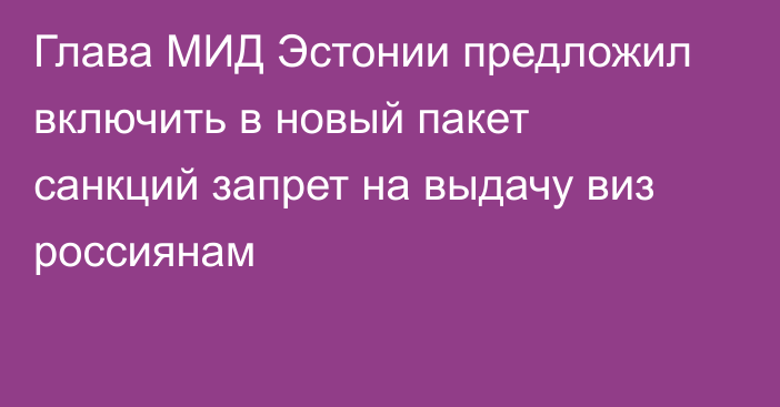 Глава МИД Эстонии предложил включить в новый пакет санкций запрет на выдачу виз россиянам