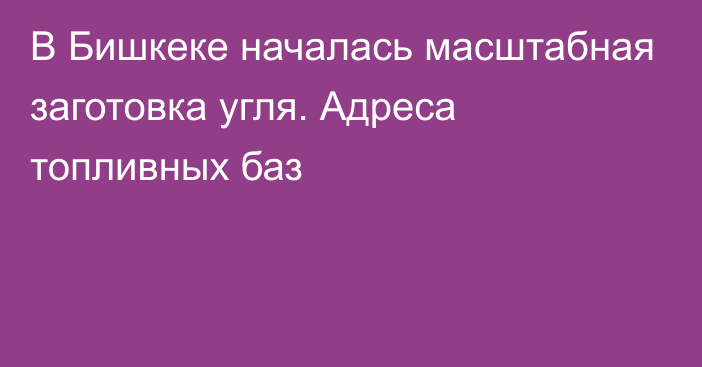 В Бишкеке началась масштабная заготовка угля. Адреса топливных баз