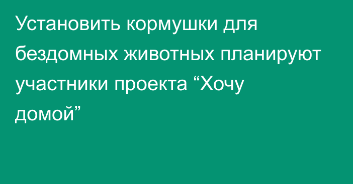 Установить кормушки для бездомных животных планируют участники проекта “Хочу домой”