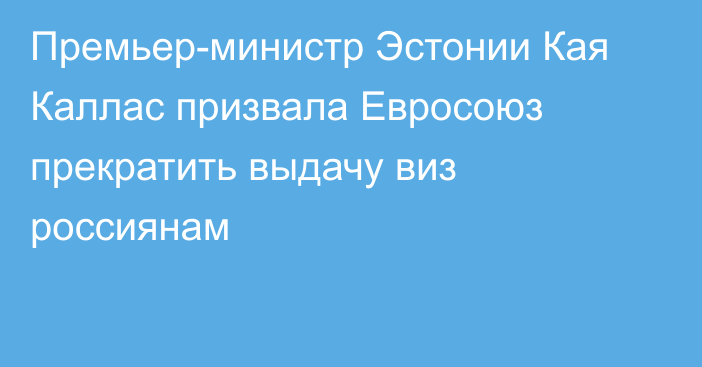 Премьер-министр Эстонии Кая Каллас призвала Евросоюз прекратить выдачу виз россиянам