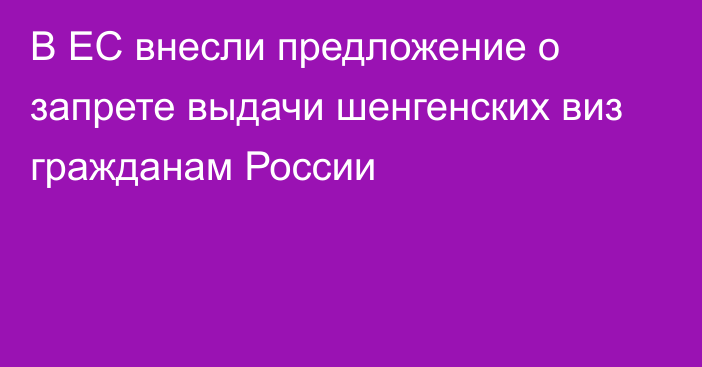 В ЕС внесли предложение о запрете выдачи шенгенских виз гражданам России