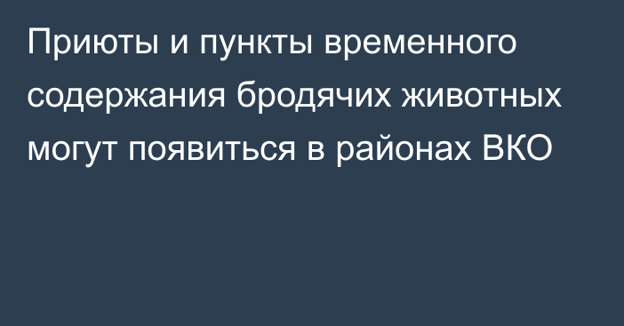 Приюты и пункты временного содержания бродячих животных могут появиться в районах ВКО