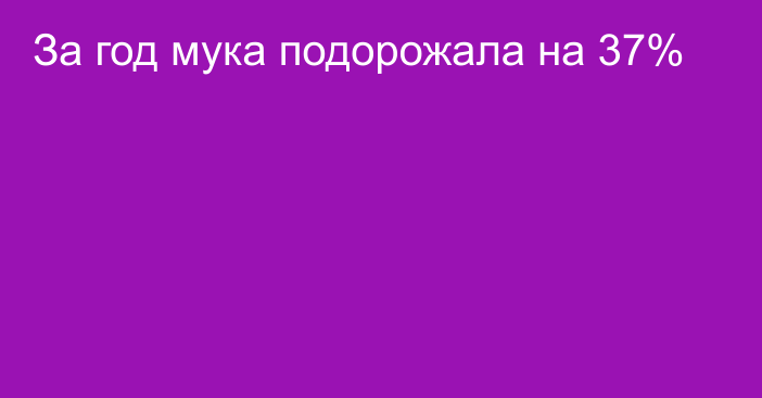 За год мука подорожала на 37%