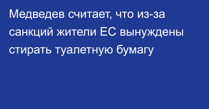 Медведев считает, что из-за санкций жители ЕС вынуждены стирать туалетную бумагу