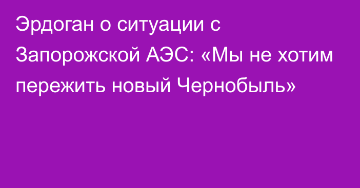 Эрдоган о ситуации с Запорожской АЭС: «Мы не хотим пережить новый Чернобыль»