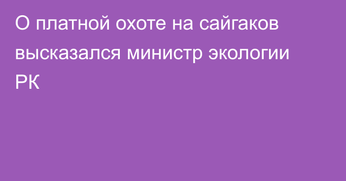 О платной охоте на сайгаков высказался министр экологии РК