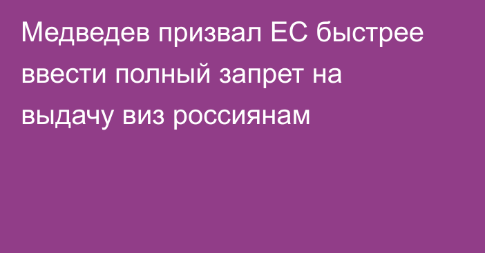 Медведев призвал ЕС быстрее ввести полный запрет на выдачу виз россиянам