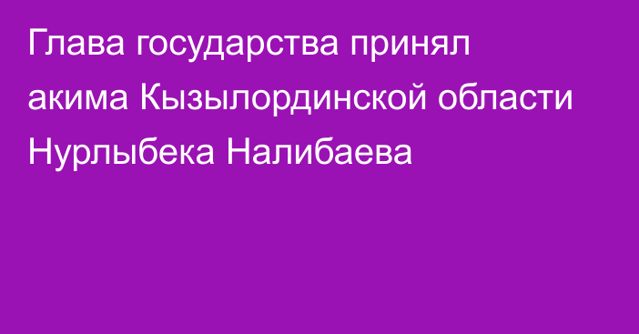 Глава государства принял акима Кызылординской области Нурлыбека Налибаева