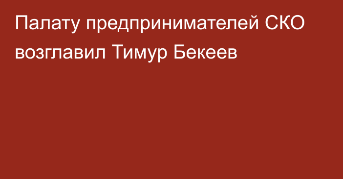 Палату предпринимателей СКО возглавил Тимур Бекеев