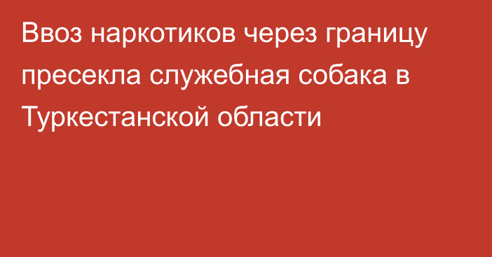 Ввоз наркотиков через границу пресекла служебная собака в Туркестанской области