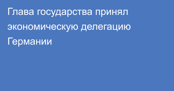 Глава государства принял экономическую делегацию Германии