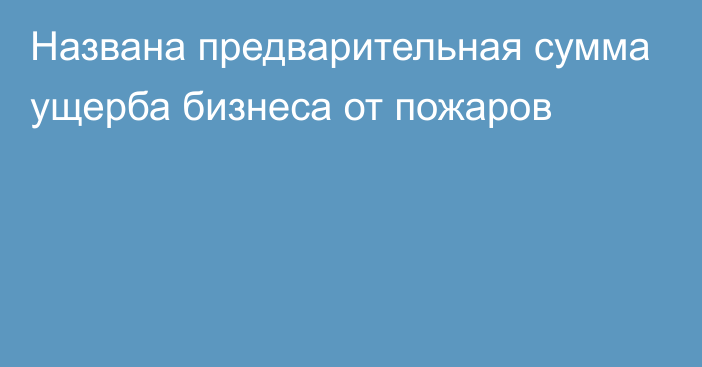 Названа предварительная сумма ущерба бизнеса от пожаров