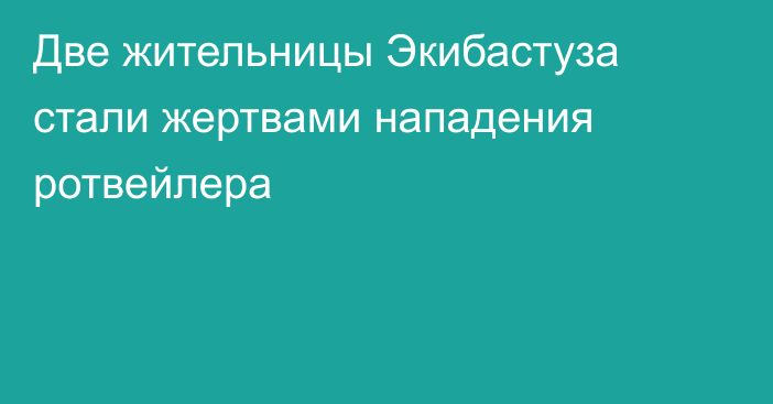 Две жительницы Экибастуза стали жертвами нападения ротвейлера