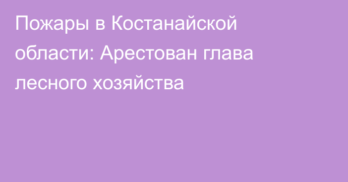 Пожары в Костанайской области: Арестован глава лесного хозяйства