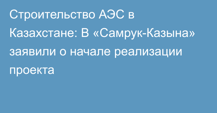 Строительство АЭС в Казахстане: В «Самрук-Казына» заявили о начале реализации проекта