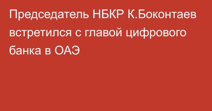 Председатель НБКР К.Боконтаев встретился с главой цифрового банка в ОАЭ