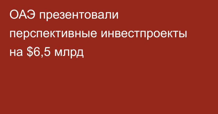 ОАЭ презентовали перспективные инвестпроекты на $6,5 млрд