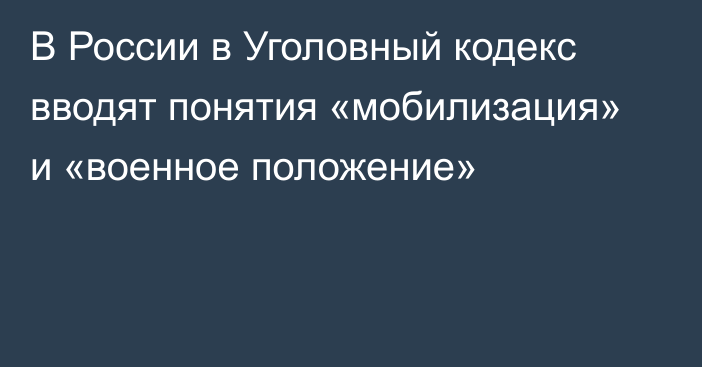 В России в Уголовный кодекс вводят понятия «мобилизация» и «военное положение»