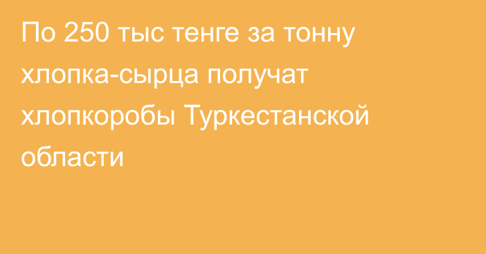 По 250 тыс тенге за тонну хлопка-сырца получат хлопкоробы Туркестанской области