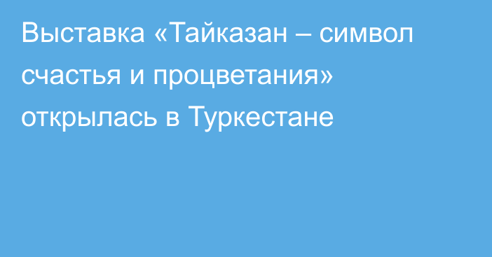 Выставка «Тайказан – символ счастья и процветания» открылась в Туркестане