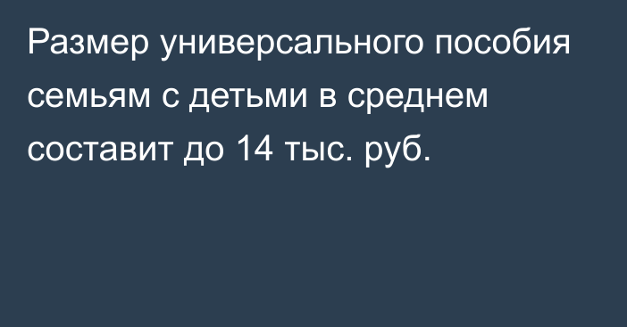 Размер универсального пособия семьям с детьми в среднем составит до 14 тыс. руб.