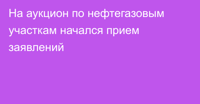 На аукцион по нефтегазовым участкам начался прием заявлений