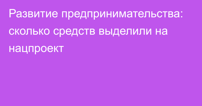 Развитие предпринимательства: сколько средств выделили на нацпроект