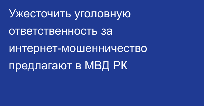 Ужесточить уголовную ответственность за интернет-мошенничество предлагают в МВД РК