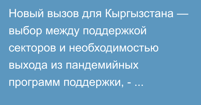 Новый вызов для Кыргызстана — выбор между поддержкой секторов и необходимостью выхода из пандемийных программ поддержки, - специалист М.Канц