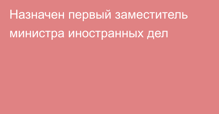 Назначен первый заместитель министра иностранных дел