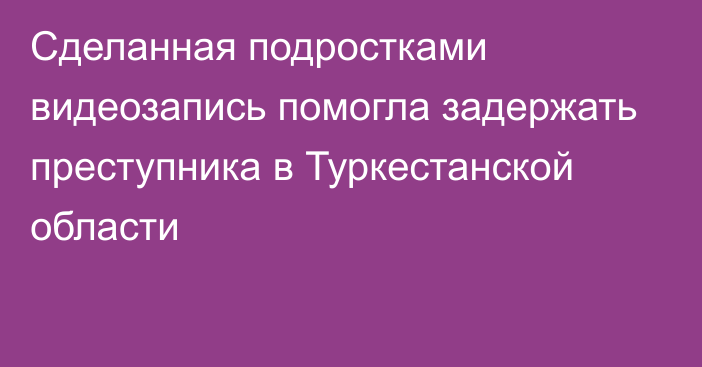 Сделанная подростками видеозапись помогла задержать преступника в Туркестанской области