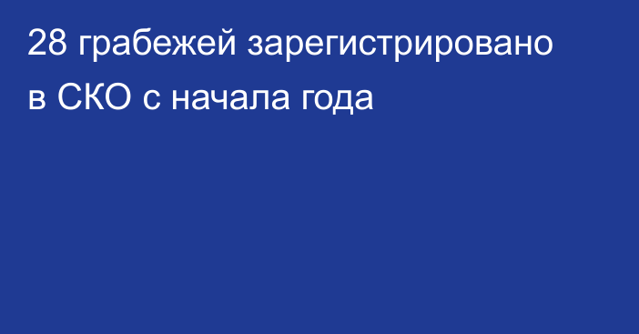 28 грабежей зарегистрировано в СКО с начала года