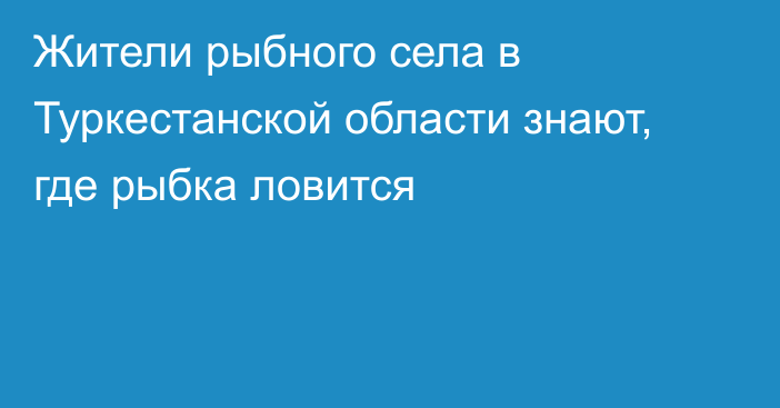 Жители рыбного села в Туркестанской области знают, где рыбка ловится