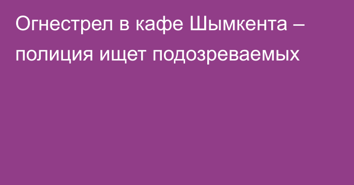 Огнестрел в кафе Шымкента – полиция ищет подозреваемых