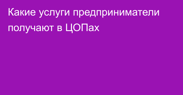 Какие услуги предприниматели получают в ЦОПах